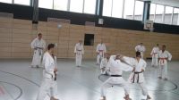 Bilder_2011 (02)